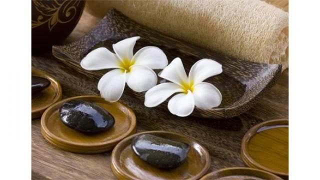 MonoĂŻ Flacon de 10 ML AROMAT'EASY