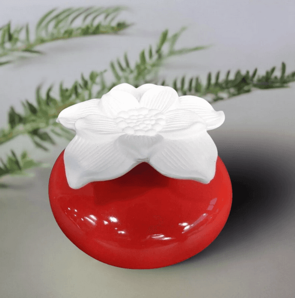 Diffuseur par Capillarité pour Parfums d'Ambiance - ZEN ARÔME Rouge