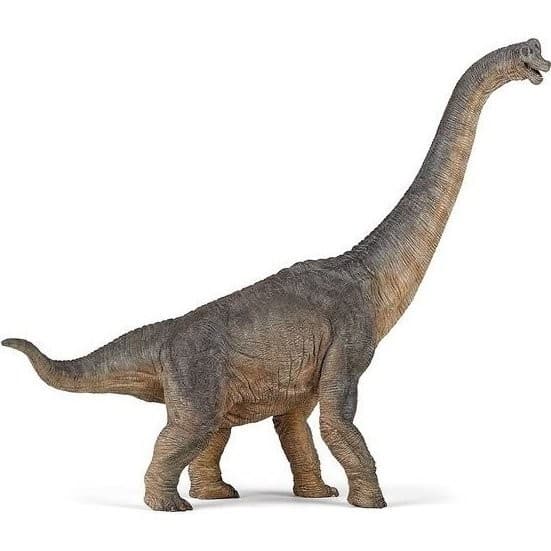 Papo Brachiosaure Figurine Dinosaure