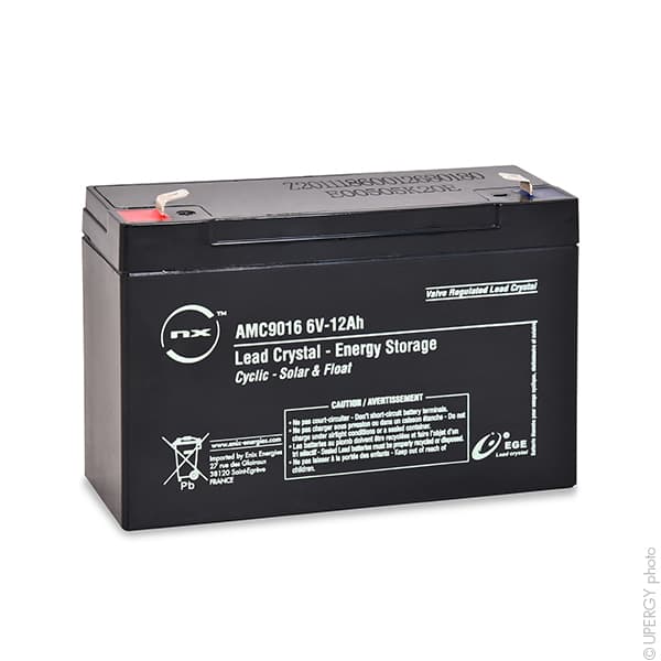 NX - Batterie lead crystal 3-CNFJ-12 6V 12Ah F6.35