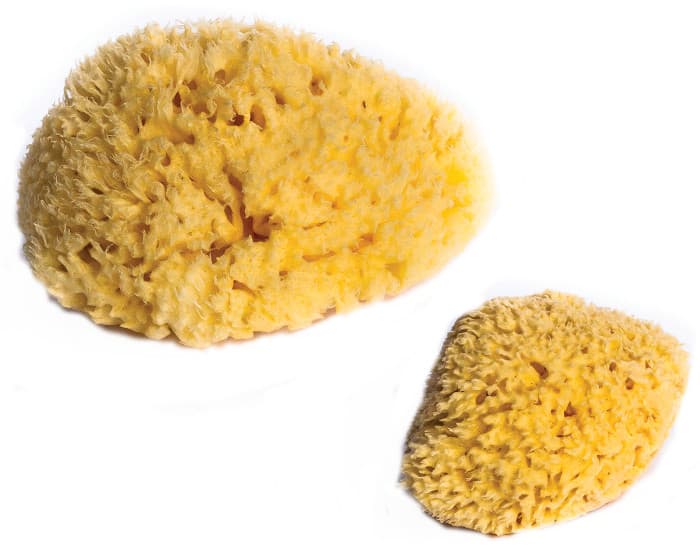 DBB REMOND Lot de 2 Éponges Naturelles