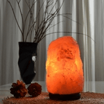 Lampe en Cristal de Sel d'Himalaya de 4 Ă 6 kg