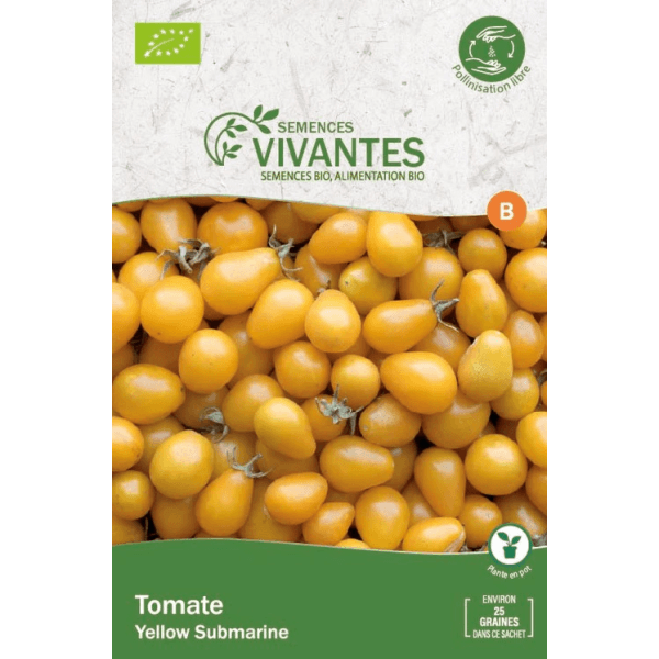 Graines de Tomate Cerise Bio (Yellow Submarine) Bio - Sachet de 350 graines à planter - Semences Vivantes