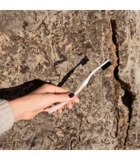 Brosse à dents Edith - Bioseptyl Saint-Jacques Souple