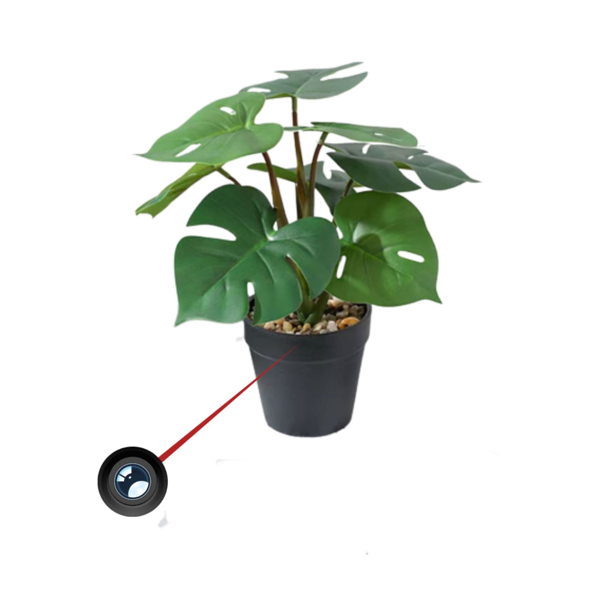 Plante artificielle caméra espion 4K Wi-Fi