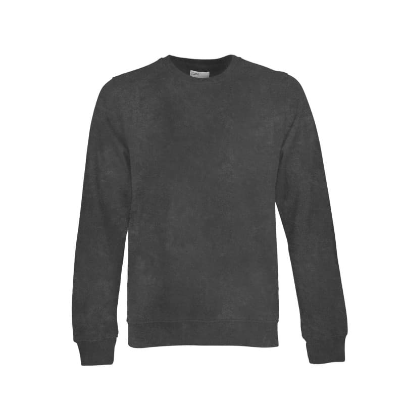 Sweatshirt Coton Bio Faded Black COLORFUL STANDARD - S