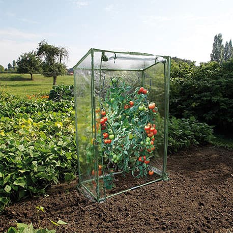 Serre Jardin pour Tomates en Acier et Polyéthylène – 0,5 m² H 150 cm