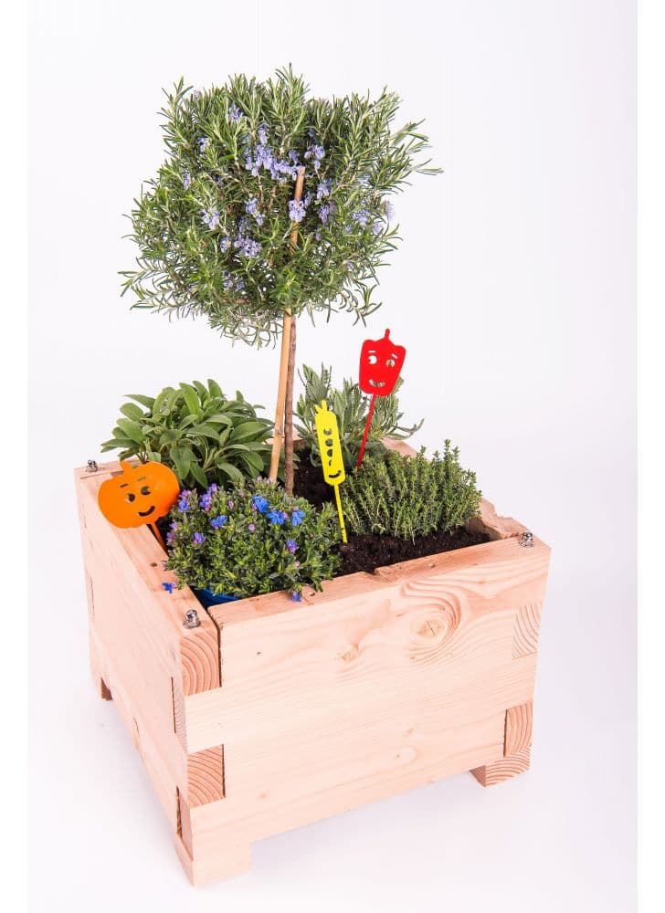 carré fantastik - LITTLE, carré potager écoresponsable en bois, spécial balcon et terrasse. Fabriqué en France.