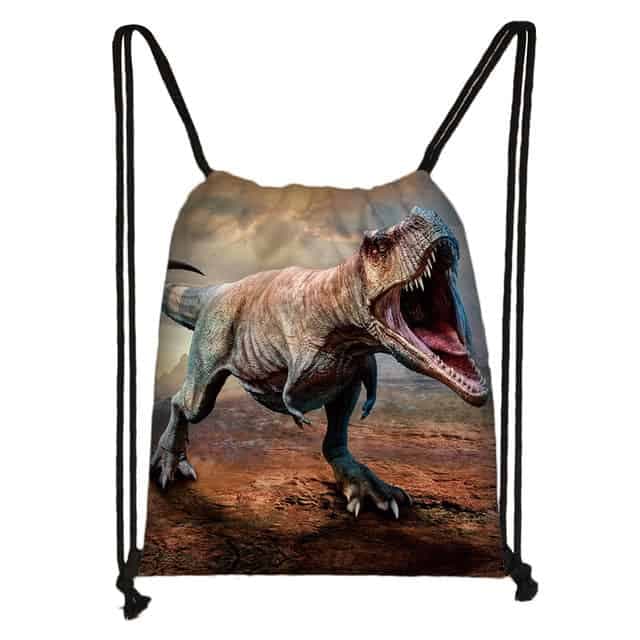 Dinosaur Drawtsring Backpack
