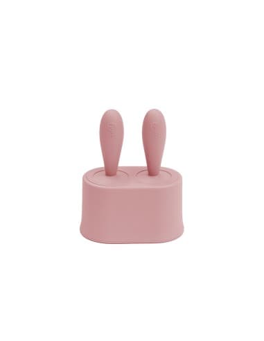 Set de moules Ă glace pour nourrissons EZPZ Rose Blush Rose