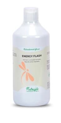 ENERGY FLASH BOOSTER - NUTRAGILE