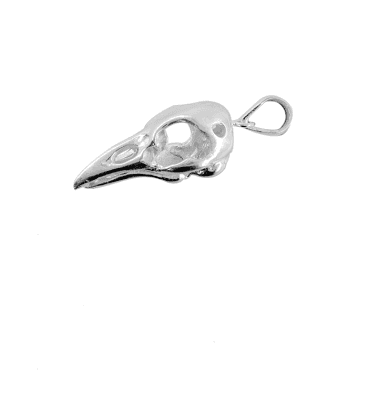 Pendentif crane d'oiseau