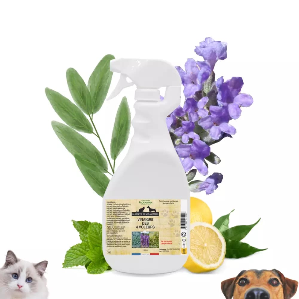 Vinaigre des 4 voleurs